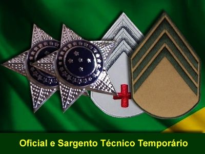 Temporários do Exército